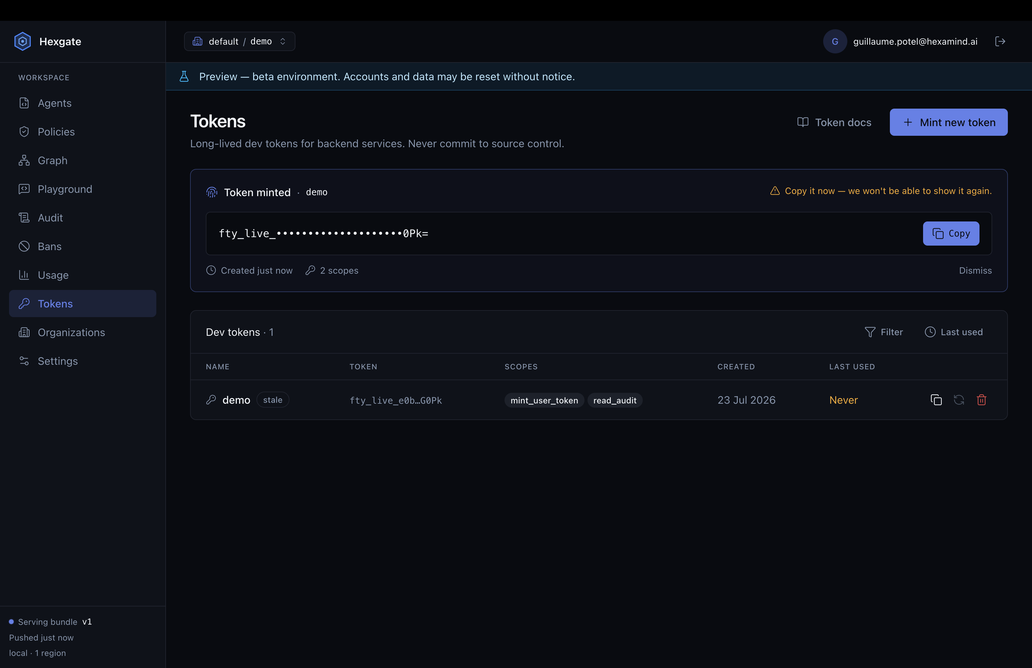 The Hexgate platform's Tokens page with a freshly minted dev token for the demo project